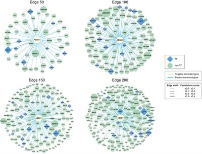 Drug Repositioning for P-Glycoprotein Mediated Co-Expression Networks in Colorectal Cancer